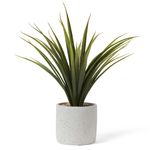 Anastasia-Potted-Dracaena-Faux-Plant